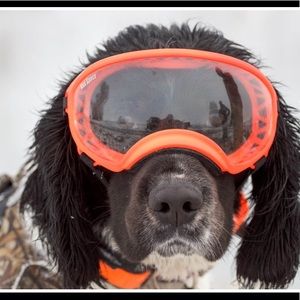 Rex Specs Dog Goggles Large orange with 2 lenses